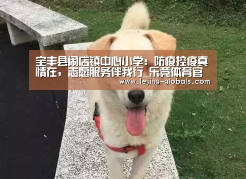 宝丰县闹店镇中心小学:防疫控疫真情在,志愿服务伴我行_乐竞体育官网(图3) 乐竞体育下载