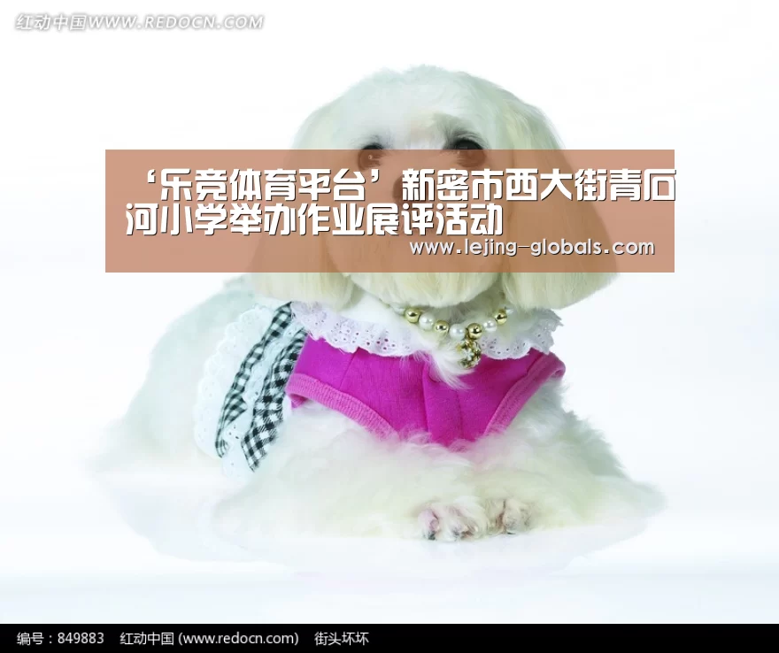 乐竞体育下载
