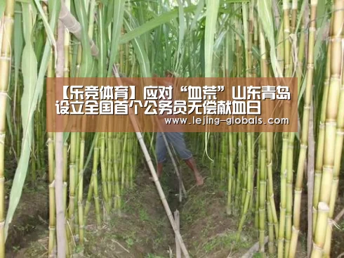 【乐竞体育】应对“血荒”山东青岛设立全国首个公务员无偿献血日(图1) 乐竞体育官网