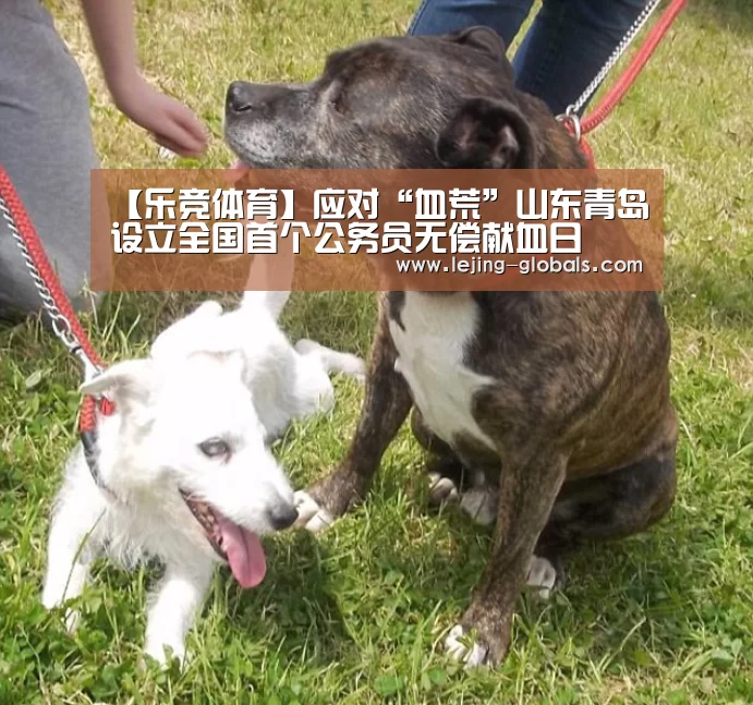【乐竞体育】应对“血荒”山东青岛设立全国首个公务员无偿献血日(图2) 乐竞体育app