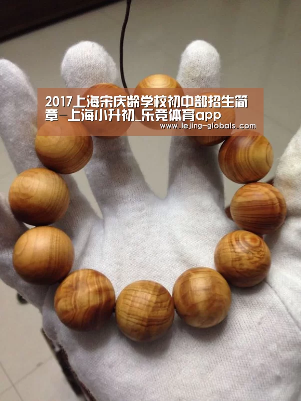2017上海宋庆龄学校初中部招生简章-上海小升初_乐竞体育app(图2) 乐竞体育