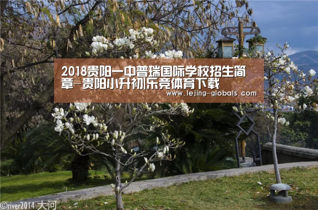 乐竞体育下载