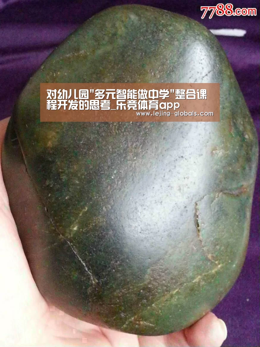 对幼儿园多元智能做中学整合课程开发的思考_乐竞体育app(图1) 乐竞体育app