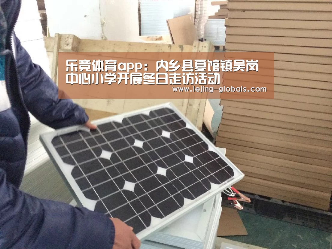 乐竞体育app:内乡县夏馆镇吴岗中心小学开展冬日走访活动(图3) 乐竞体育下载