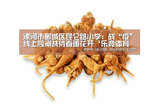 乐竞体育官网